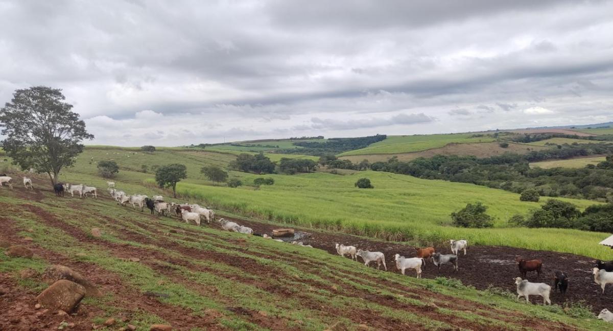 Propriedade rural em Cerquilho — 324 ha — foto 1 de 12