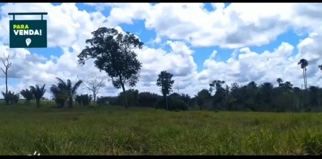 Propriedade rural em Curuá — 2.662 ha — foto 1 de 9