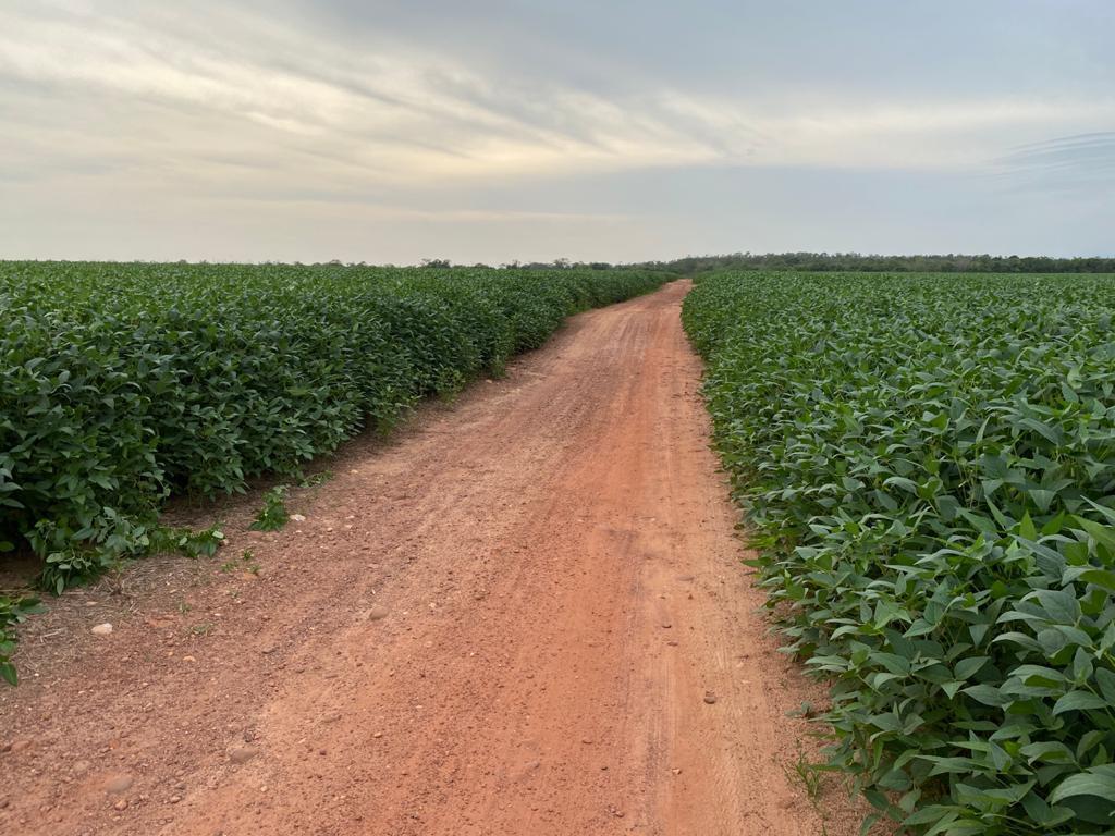 Propriedade rural em Santa Maria do Tocantins — 843 ha — foto 1 de 2