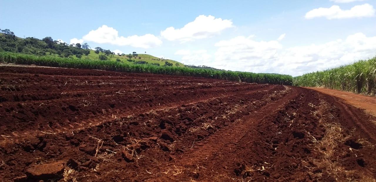Propriedade rural em Ribeirão Preto — 1.880 ha — foto 1 de 12
