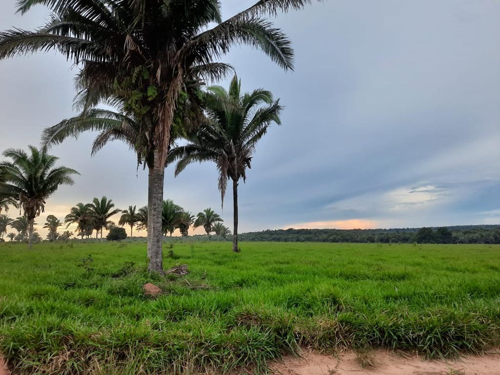 Propriedade rural em Cachoeirinha — 8.712 ha — foto 1 de 12