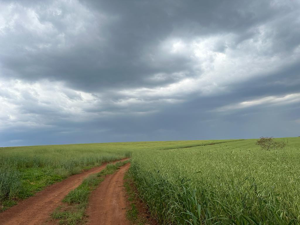 Propriedade rural em Piraju — 2.707 ha — foto 1 de 12