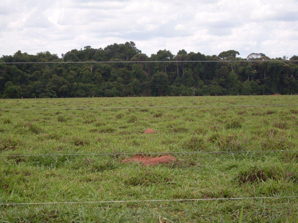 Propriedade rural em São Félix do Araguaia — 90.527 ha — foto 1 de 2