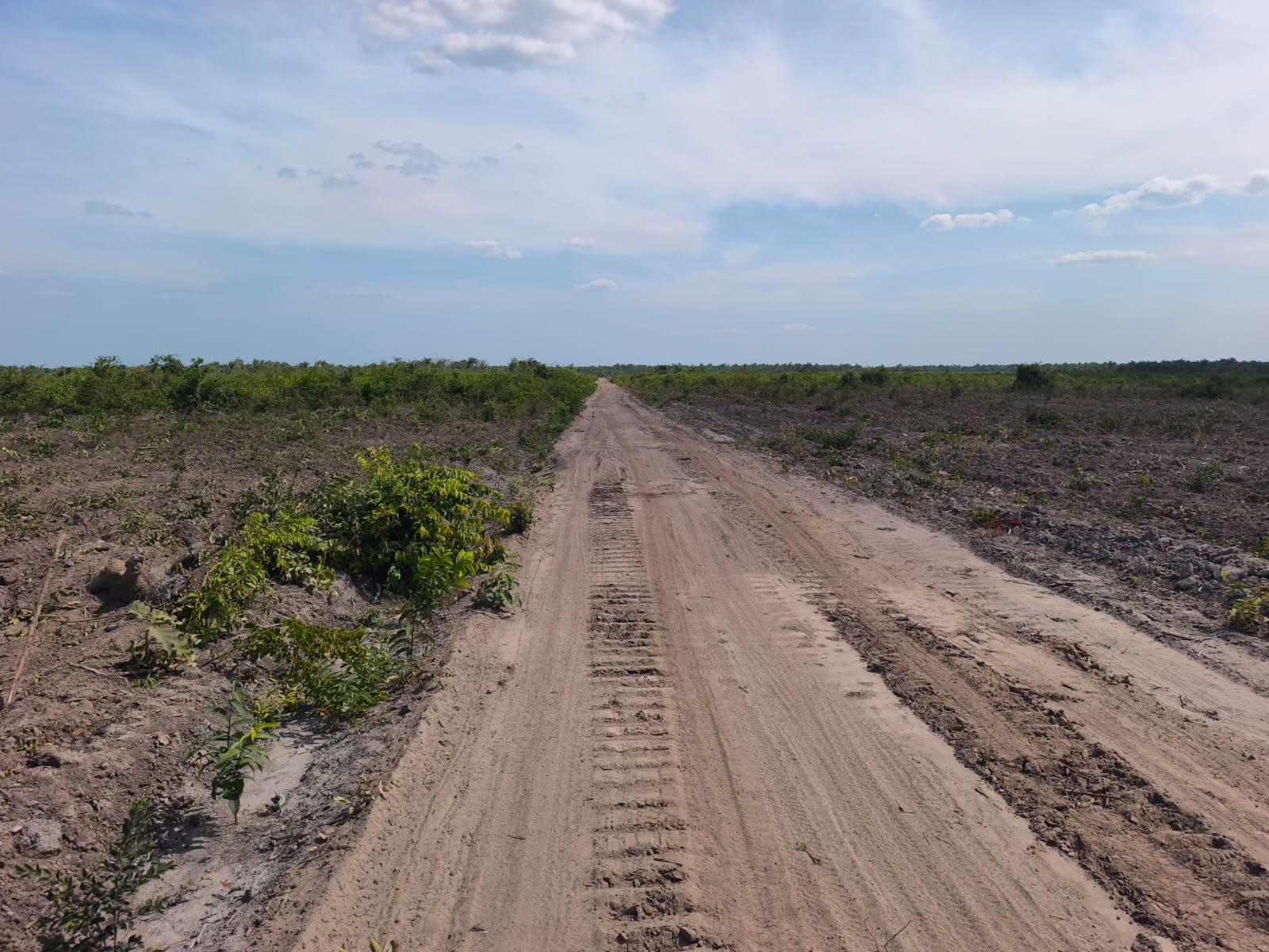 Propriedade rural em Coelho Neto — 7.800 ha — foto 1 de 6