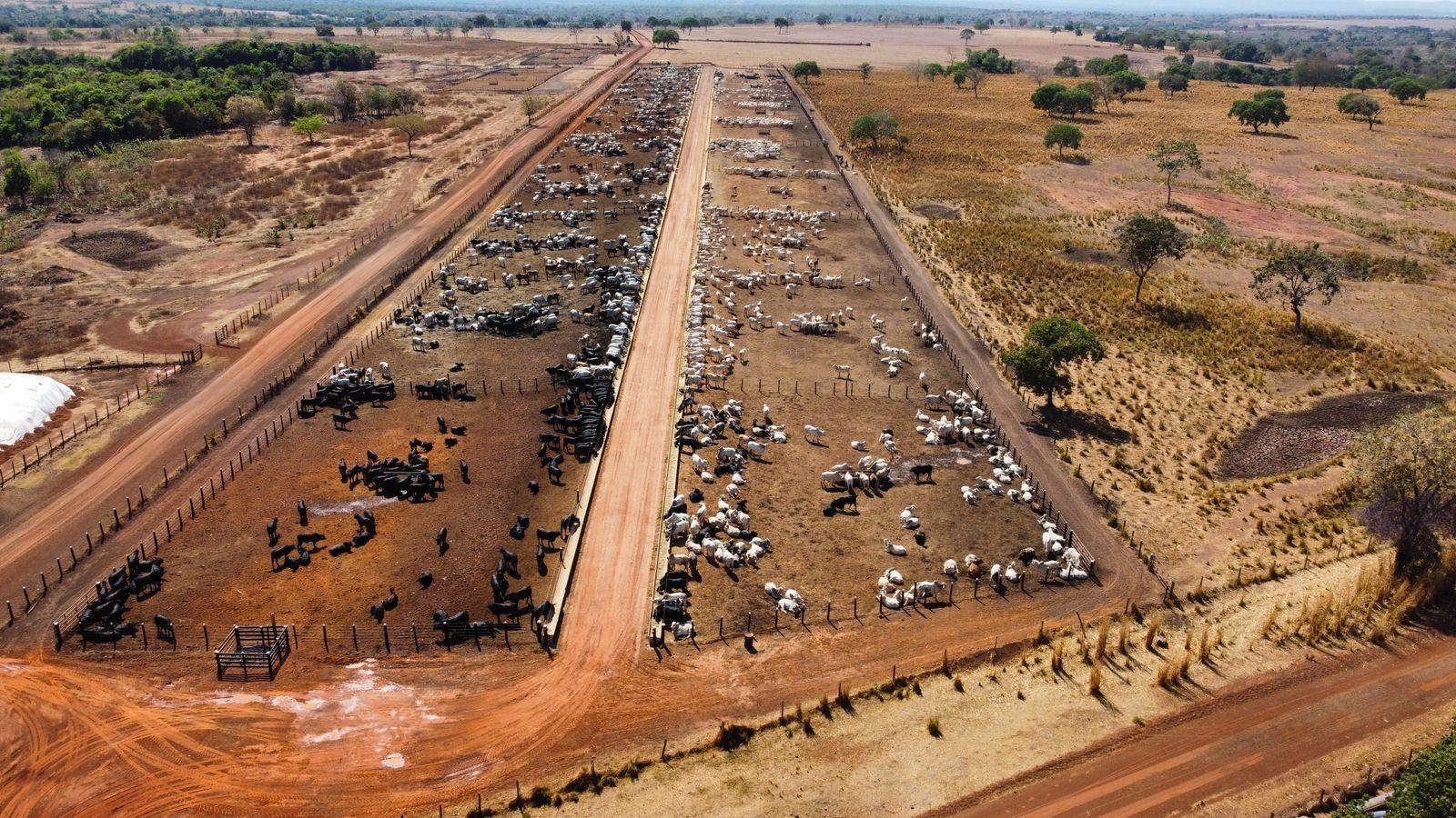 Propriedade rural em Amaralina — 2.420 ha — foto 1 de 5