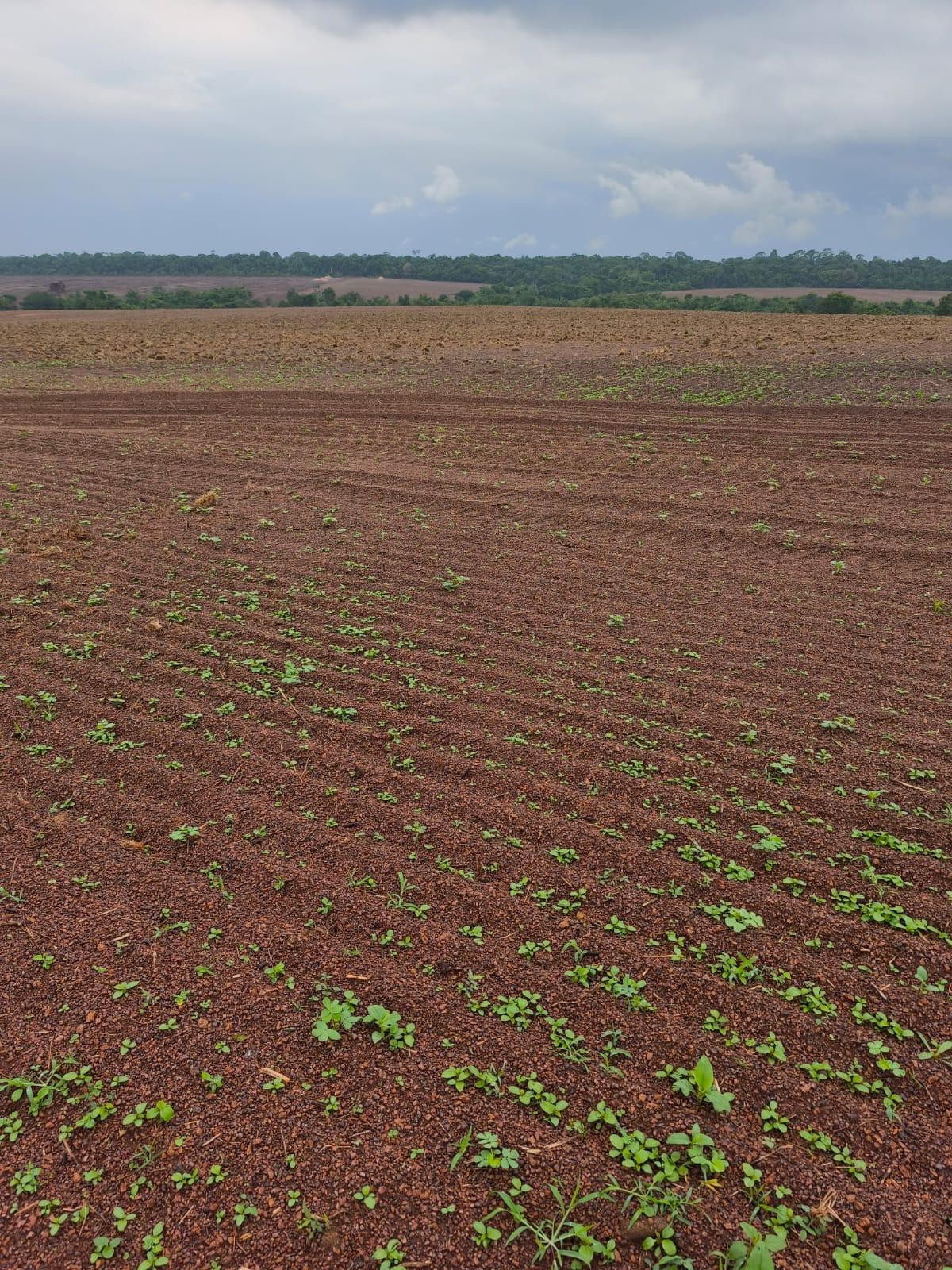 Propriedade rural em Xinguara — 3.194 ha — foto 1 de 12