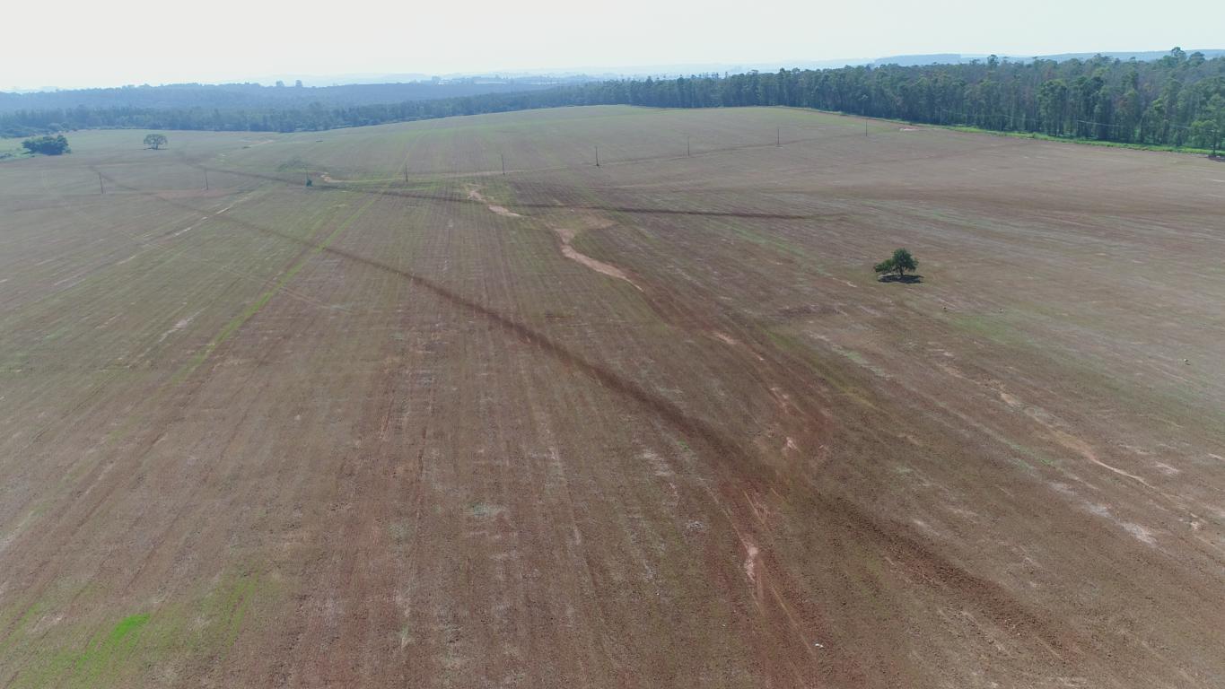 Propriedade rural em Itapetininga — 73 ha — foto 1 de 12