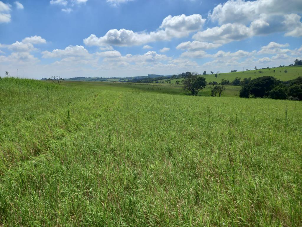 Propriedade rural em Itapetininga — 48 ha — foto 1 de 4