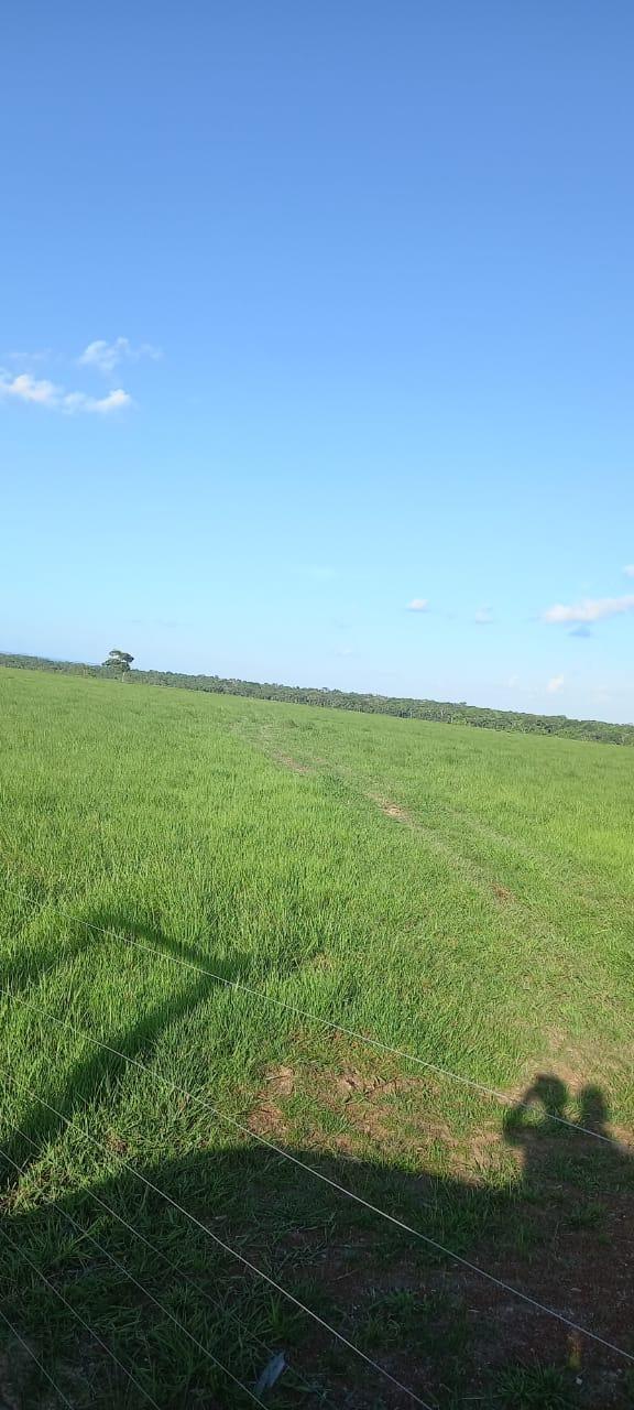 Propriedade rural em Alenquer — 900 hectares — foto 1 de 2