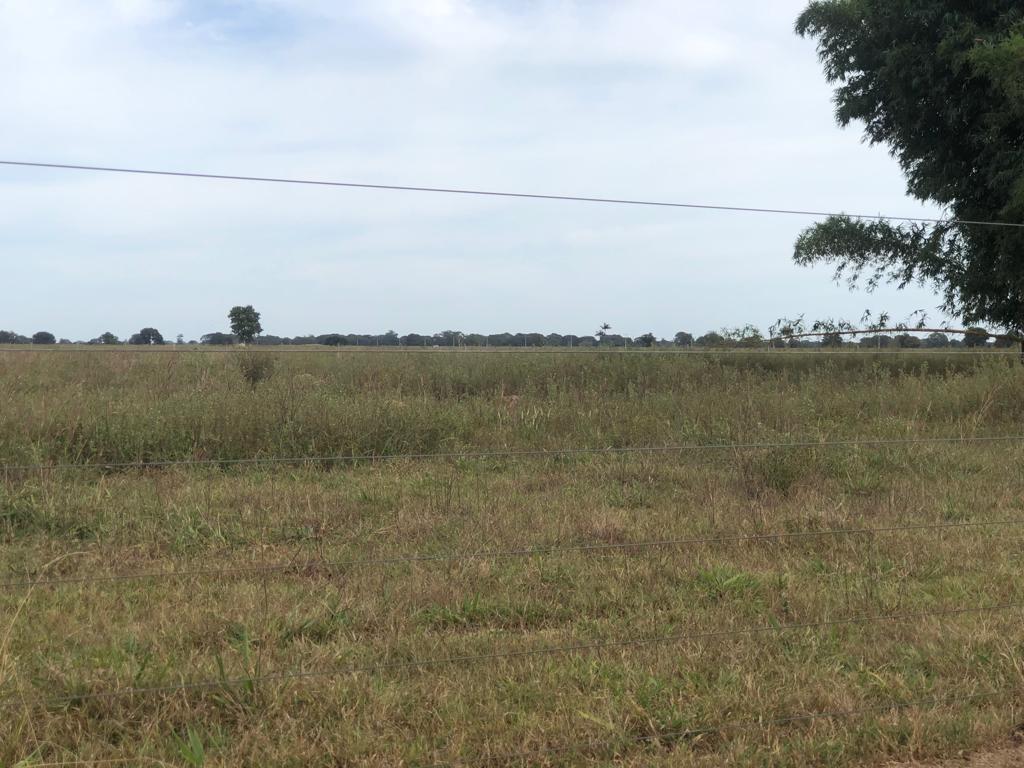 Propriedade rural em Britânia — 1.592 ha — foto 1 de 11