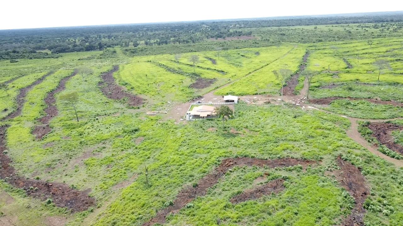 Propriedade rural em Lagoa da Confusão — 1.021 ha — foto 1 de 12