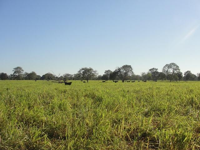 Propriedade rural em Fazenda Venda em Lambari do Oeste mt 1000 Alqueires ou 2420 Hectares — 2 hectares — foto 1 de 12