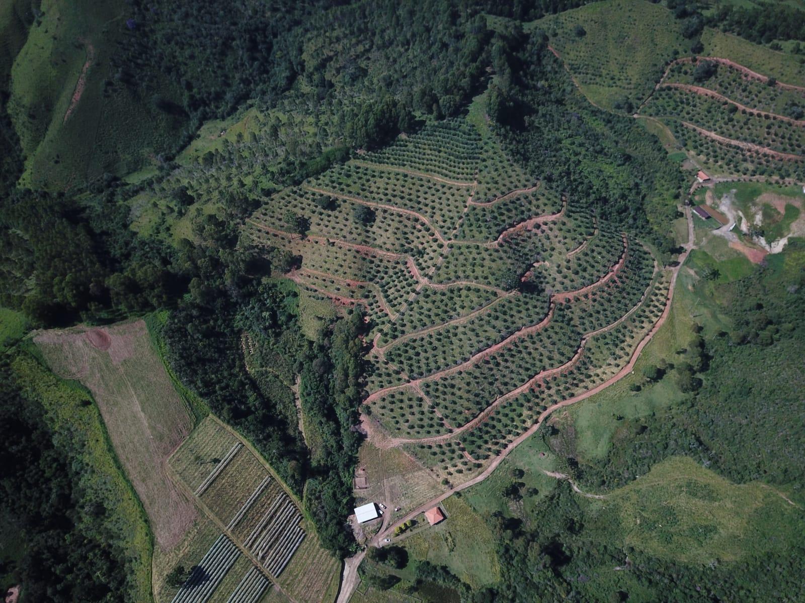 Propriedade rural em Delfim Moreira — 96 ha — foto 1 de 9
