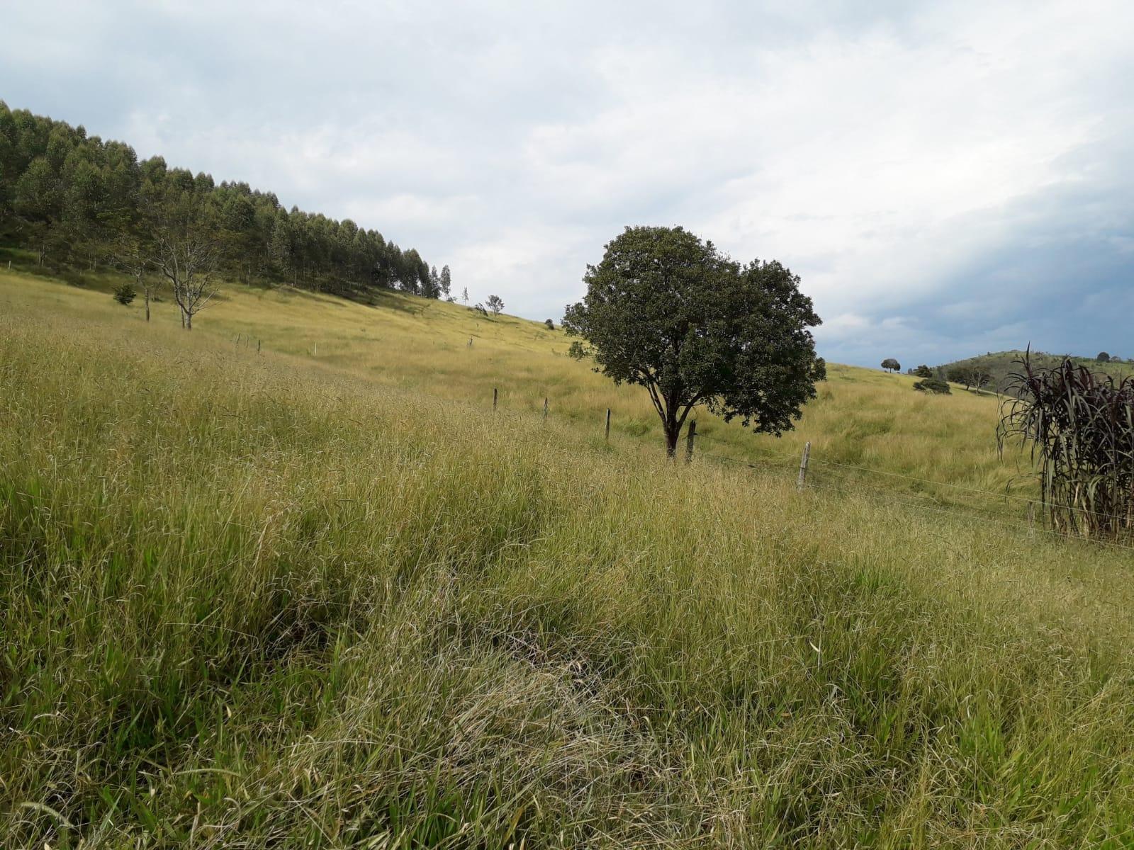 Propriedade rural em Cunha — 24 ha — foto 1 de 11