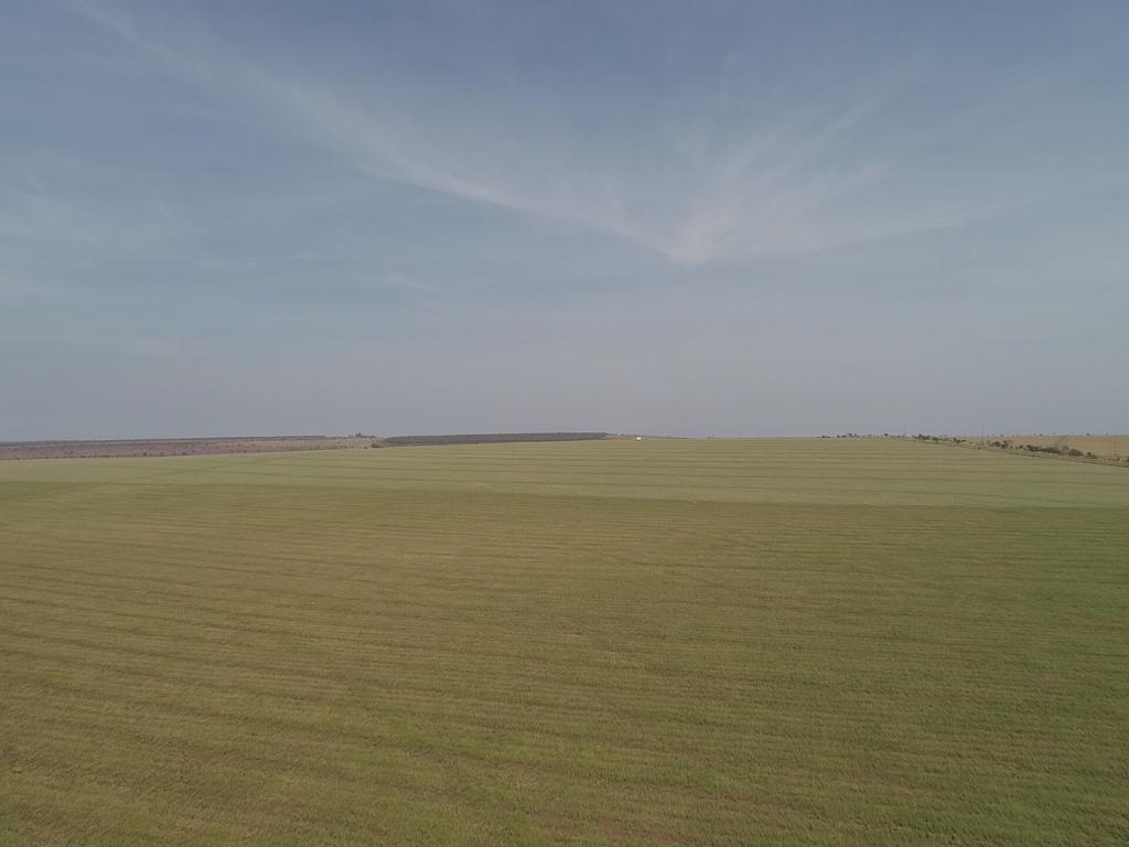 Propriedade rural em Chapadão do Sul — 799 ha — foto 1 de 12