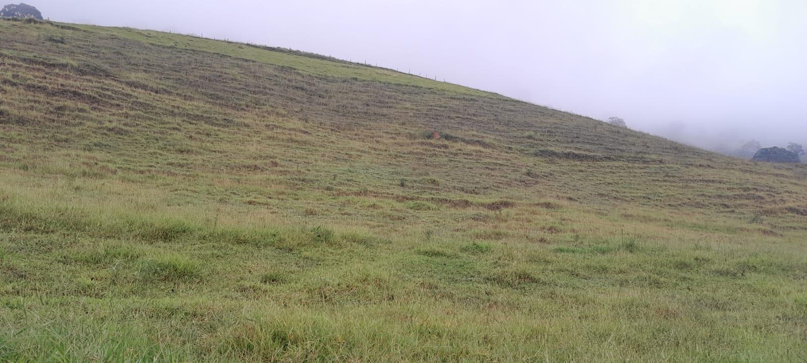 Propriedade rural em Delfim Moreira — 58 ha — foto 1 de 12