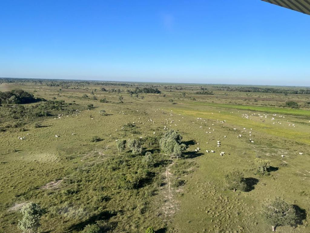 Propriedade rural em Miranda — 8.400 ha — foto 1 de 9