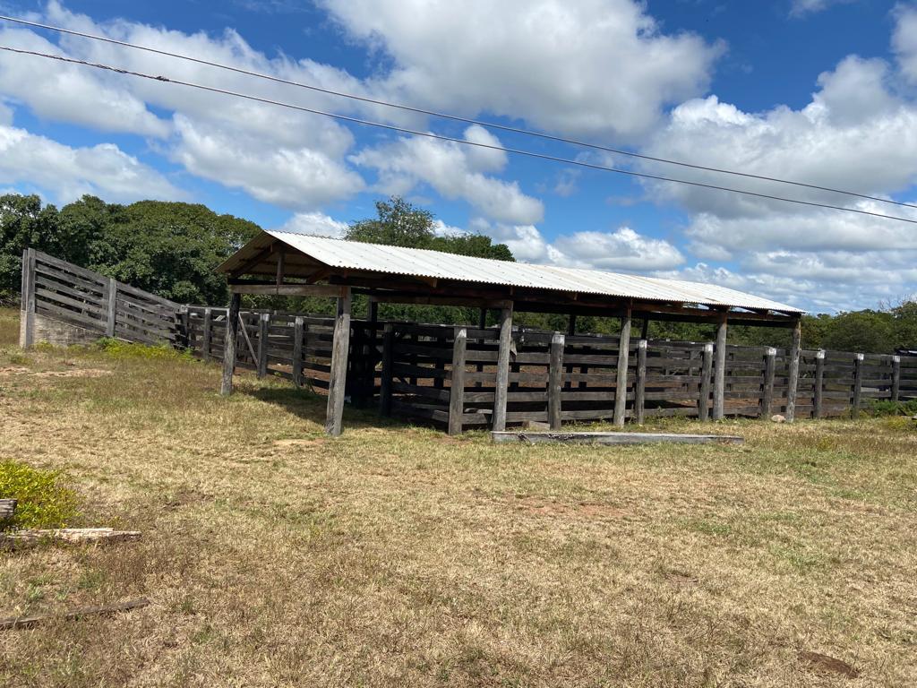 Propriedade rural em Taipas do Tocantins — 1.300 ha — foto 1 de 7