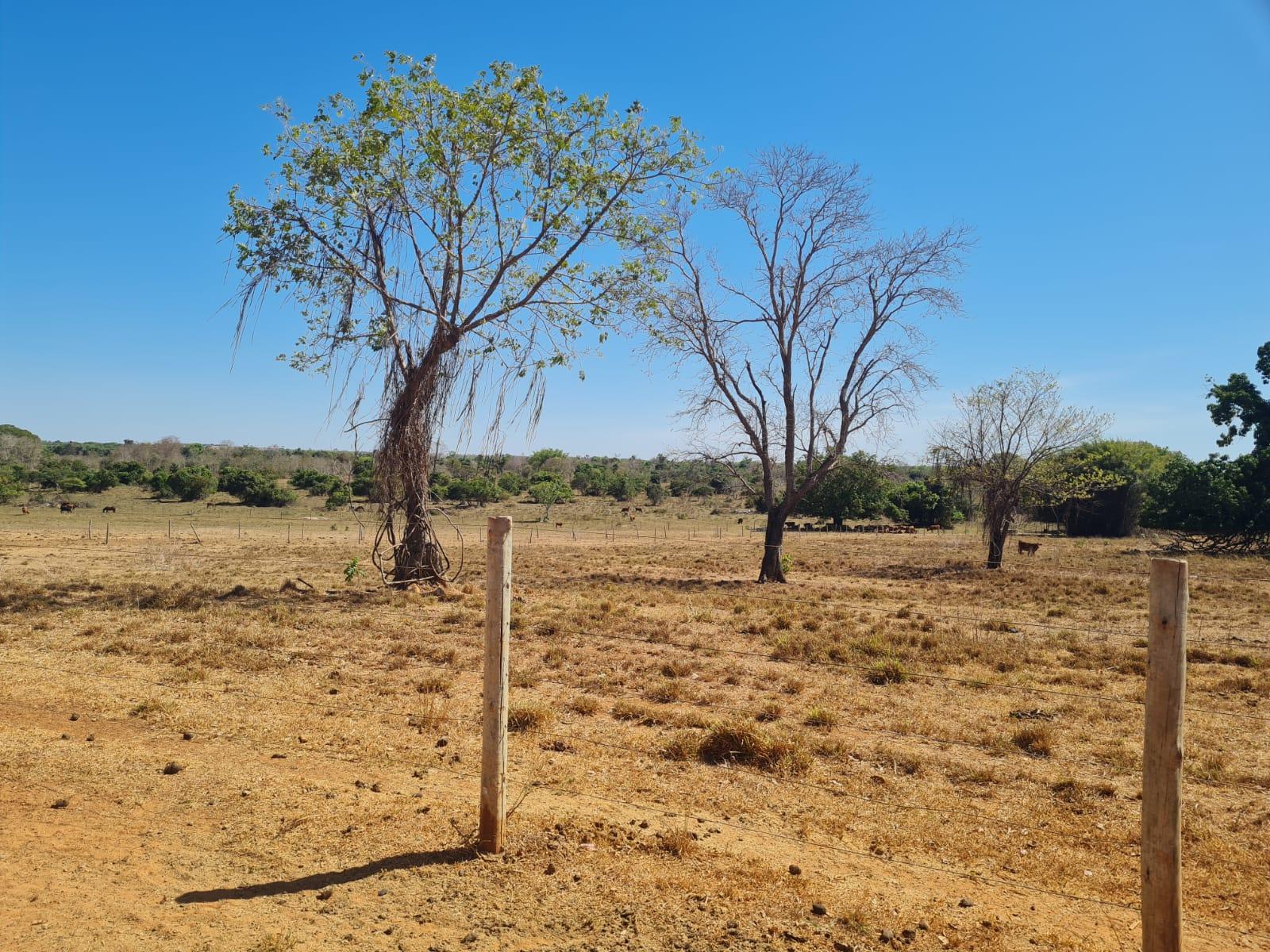 Propriedade rural em Mozarlândia — 702 hectares — foto 1 de 12