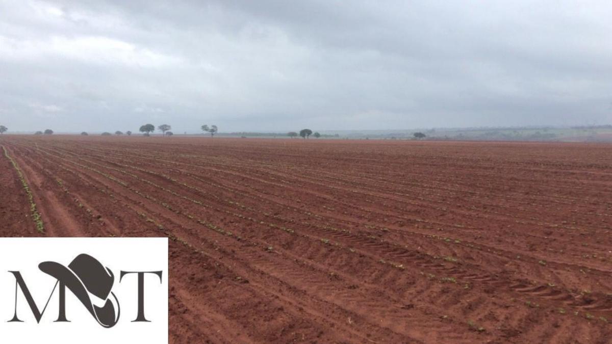 Propriedade rural em São Francisco de Sales — 203 ha — foto 1 de 6
