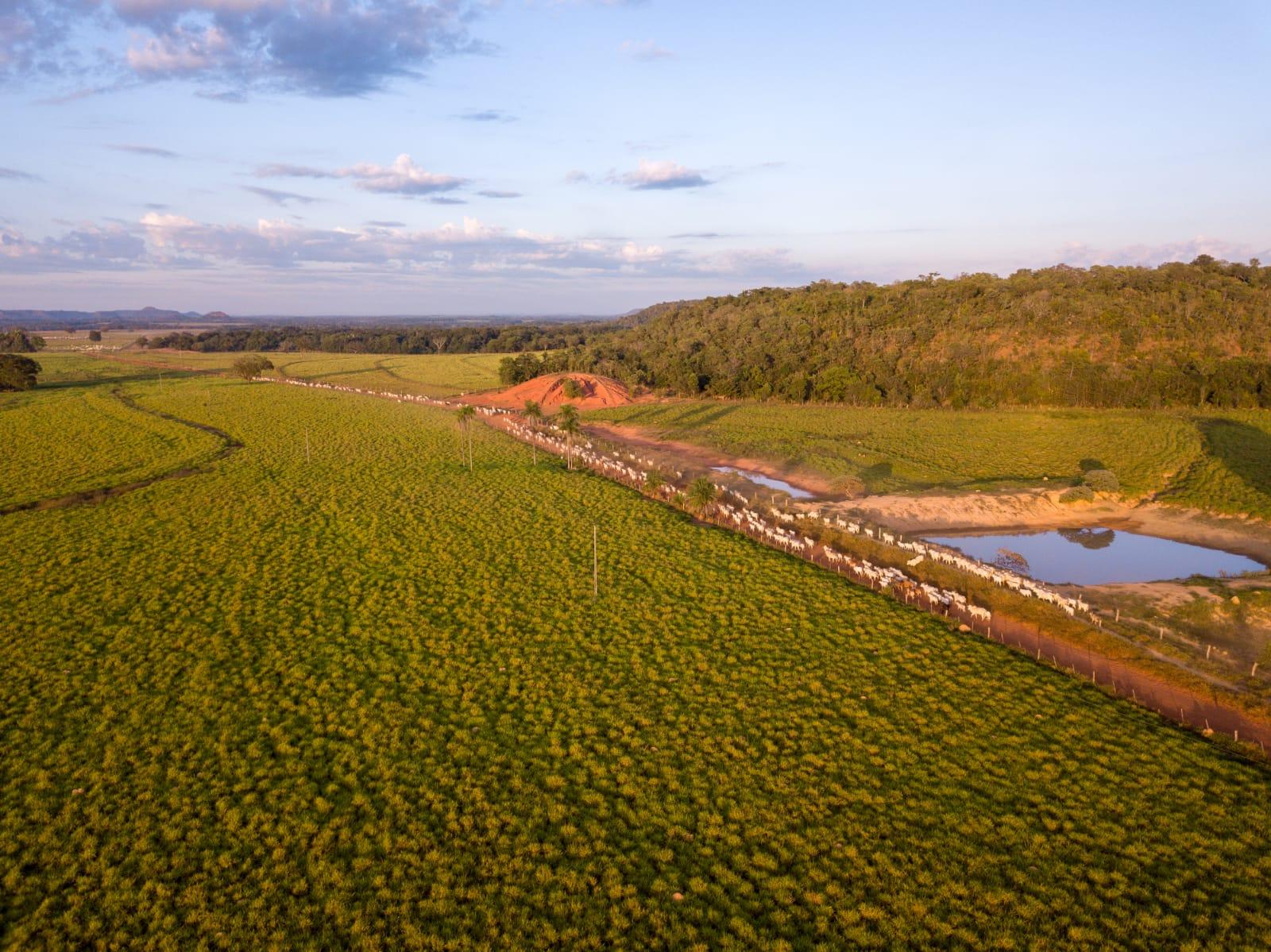 Propriedade rural em Goiatins — 19.000 ha — foto 1 de 12