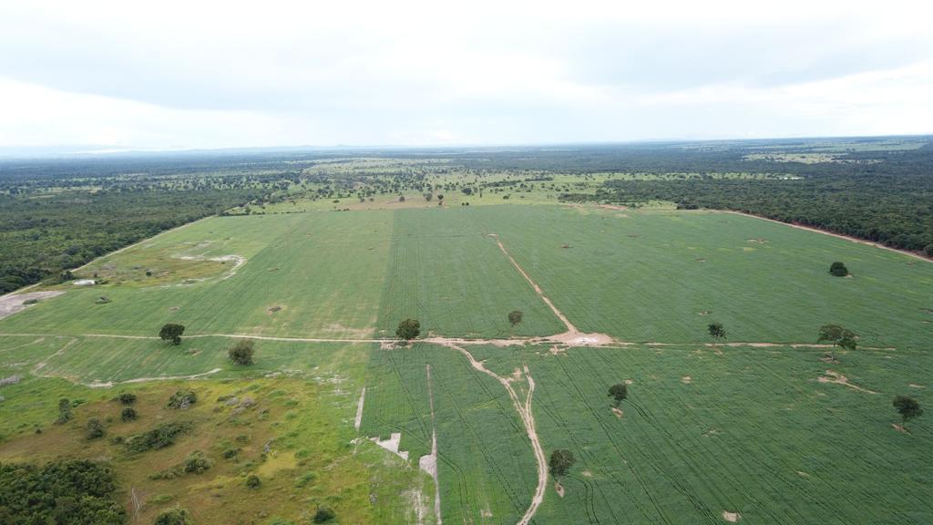 Propriedade rural em Nova Crixás — 4.210 ha — foto 1 de 12