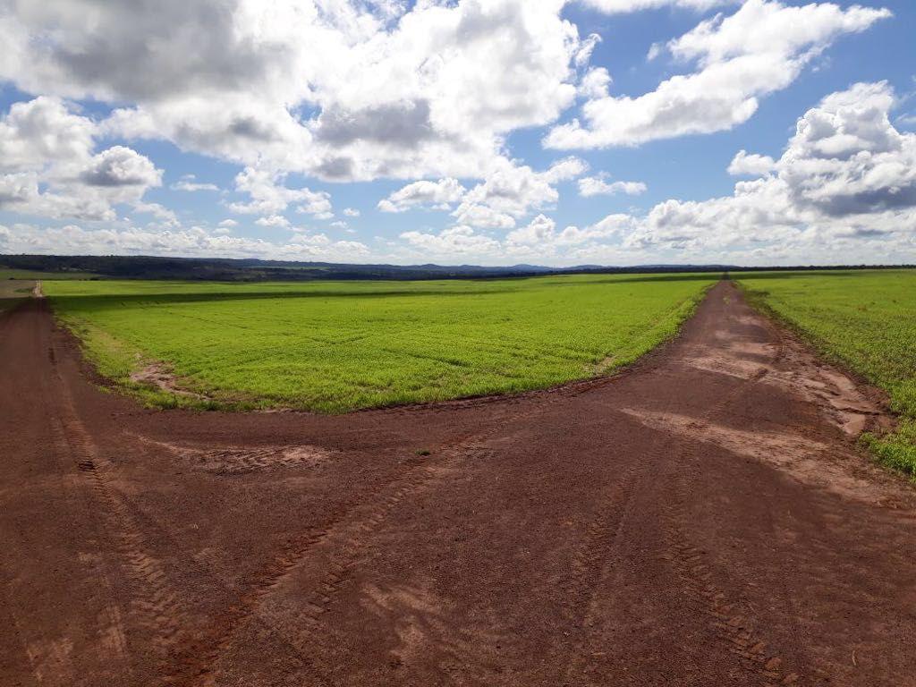 Propriedade rural em Primavera do Leste — 5.600 ha — foto 1 de 12