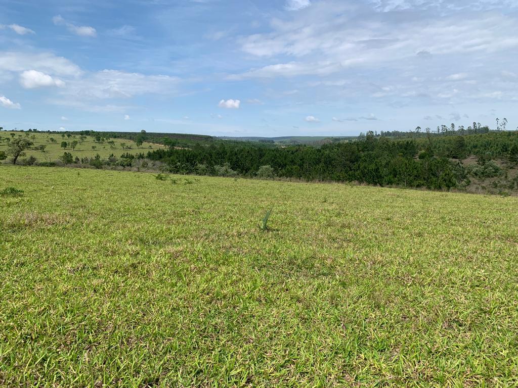 Propriedade rural em Botucatu — 711 ha — foto 1 de 12
