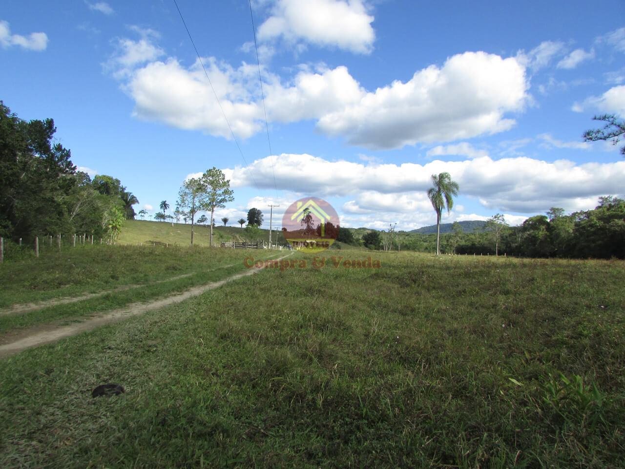 Propriedade rural em Pariquera-Açu — 96 ha — foto 1 de 12