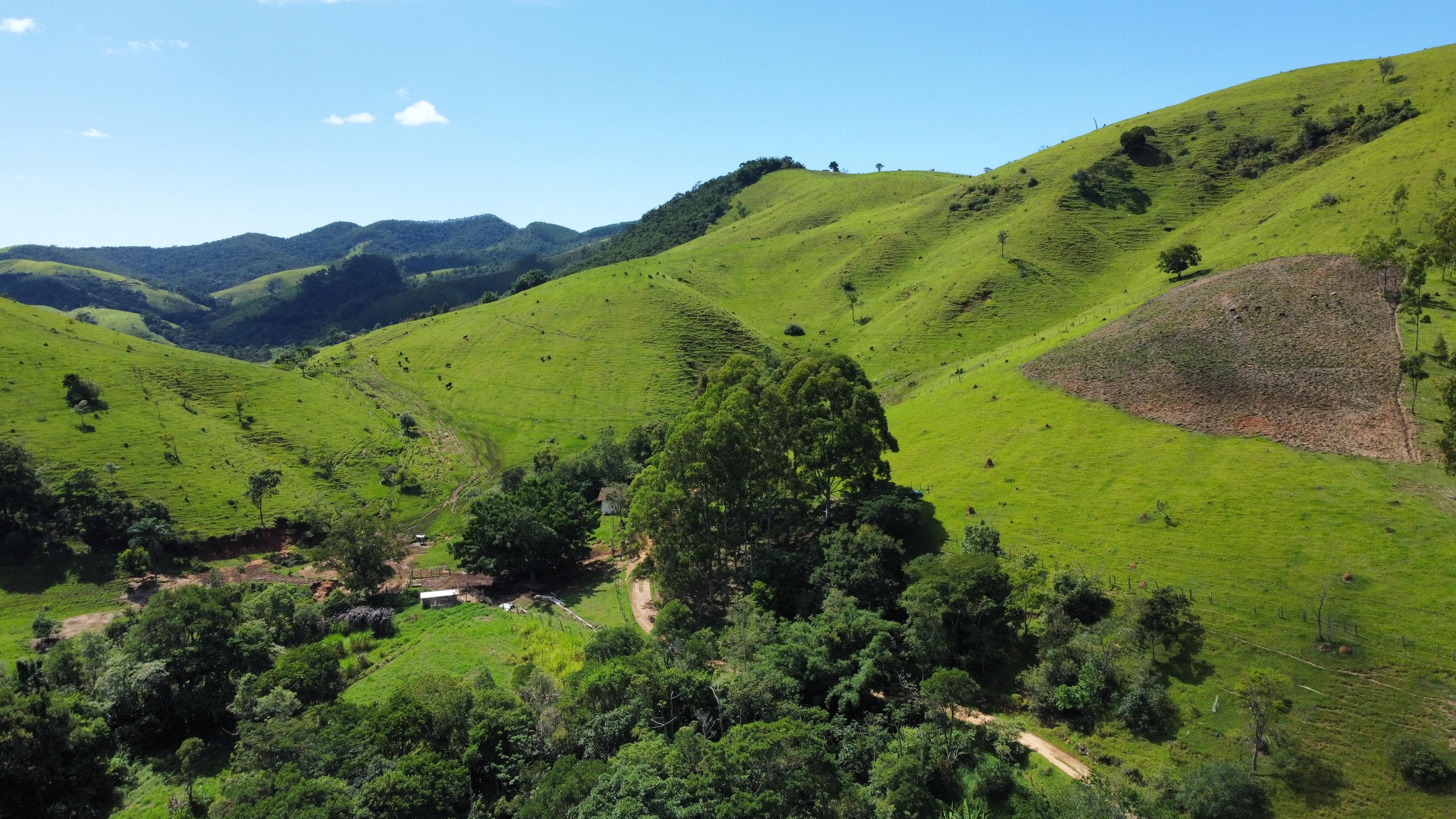 Propriedade rural em Jambeiro — 41 hectares — foto 1 de 6