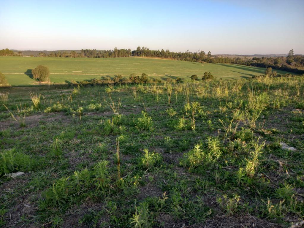 Propriedade rural em Itapetininga — 77 ha — foto 1 de 12