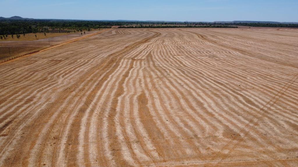 Propriedade rural em fazenda venda em araguaina com 3300 hectares para agricultura — 3.300 ha — foto 1 de 12