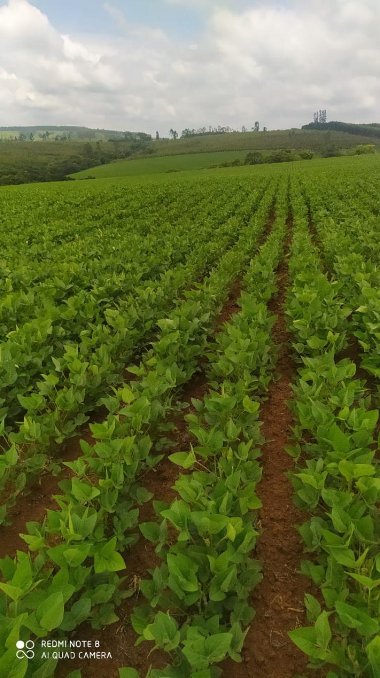 Propriedade rural em Salto de Pirapora — 15 ha — foto 1 de 12